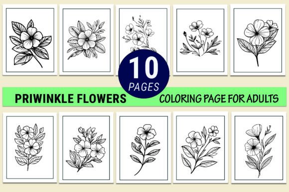 Periwinkle Flower Coloring Pages