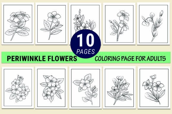 Periwinkle Flower Coloring Pages for Adults: A Creative and Practical Resource